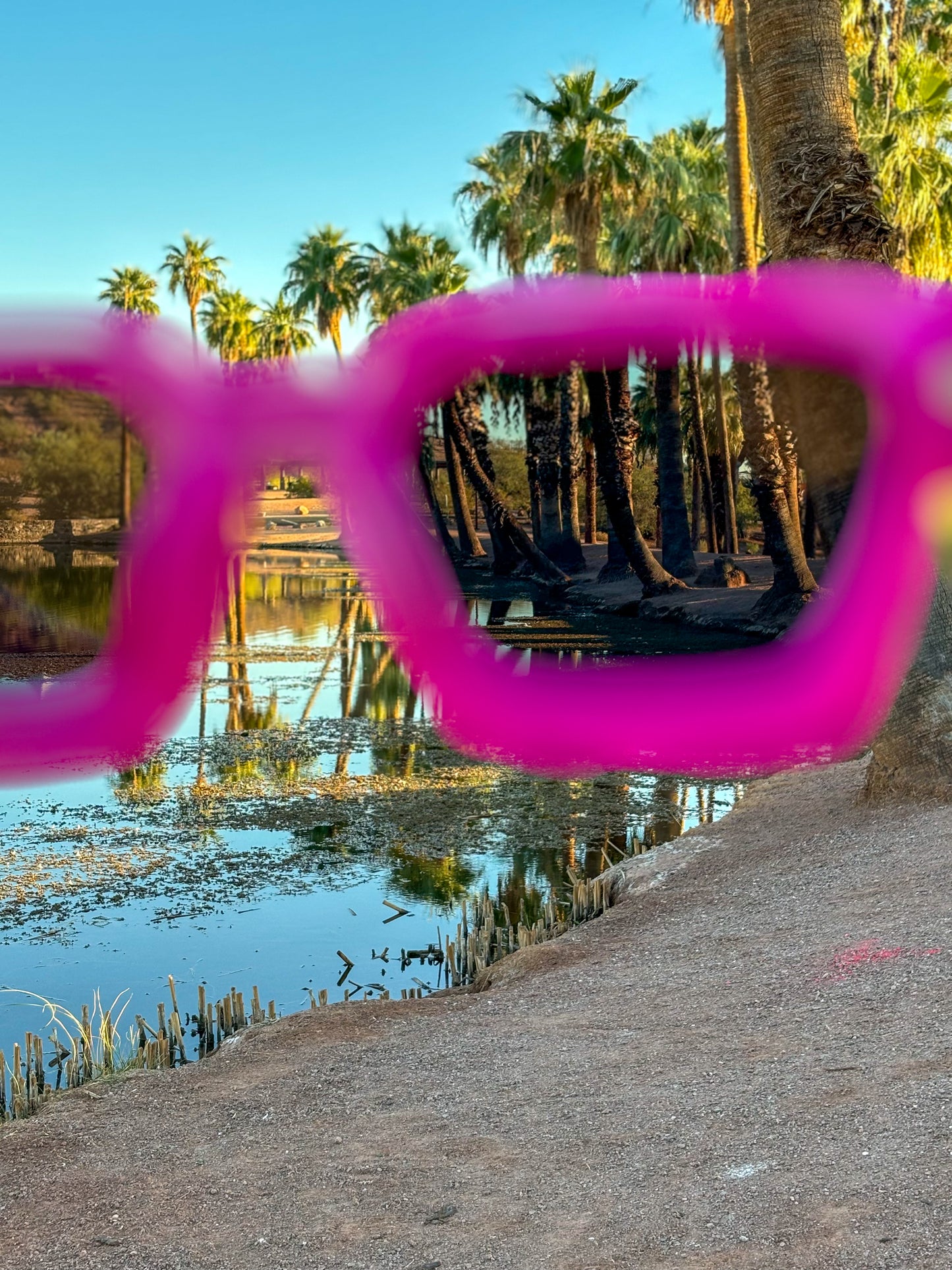 Pink Miracle